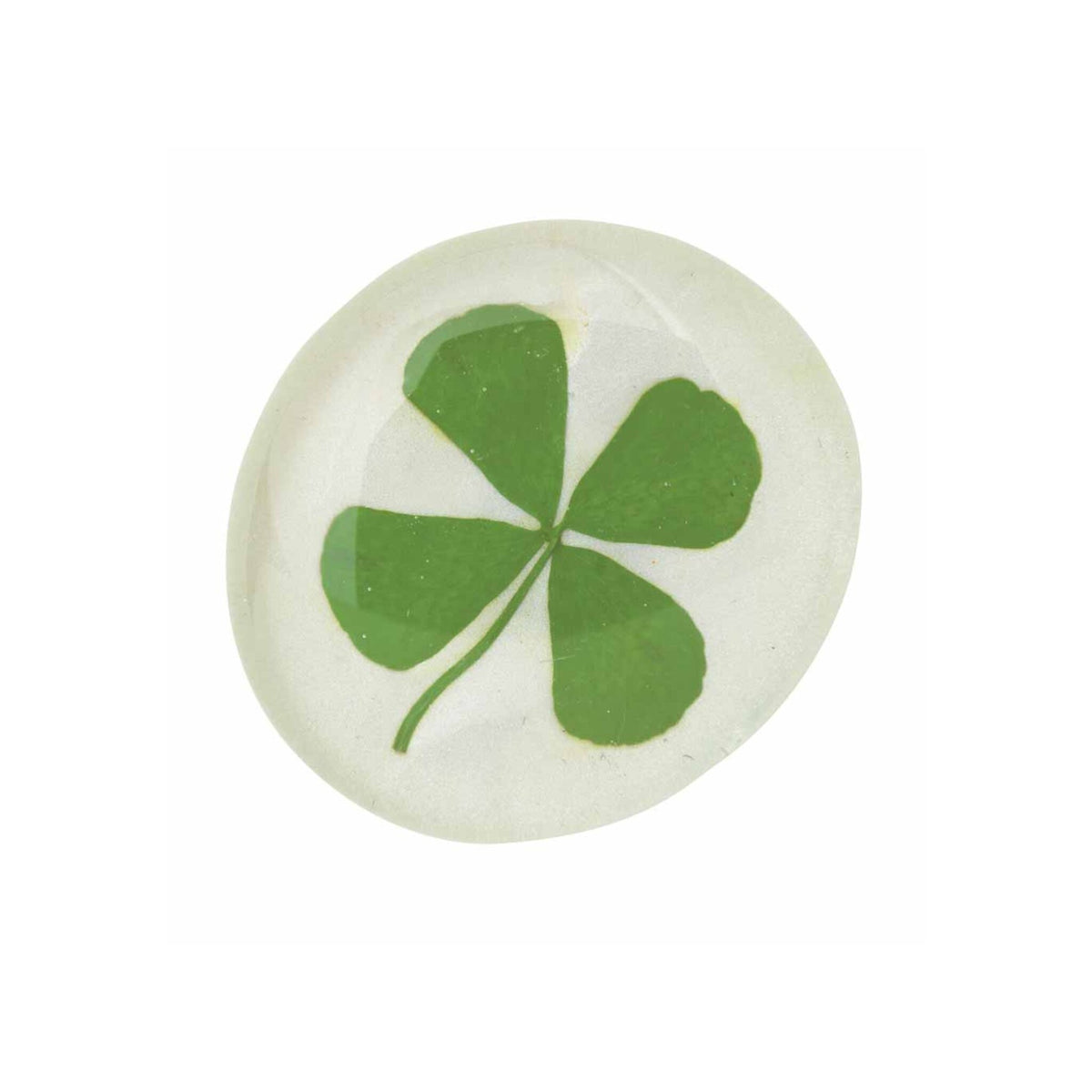 Flower Power Magnets Displaypcs Assorted Clover