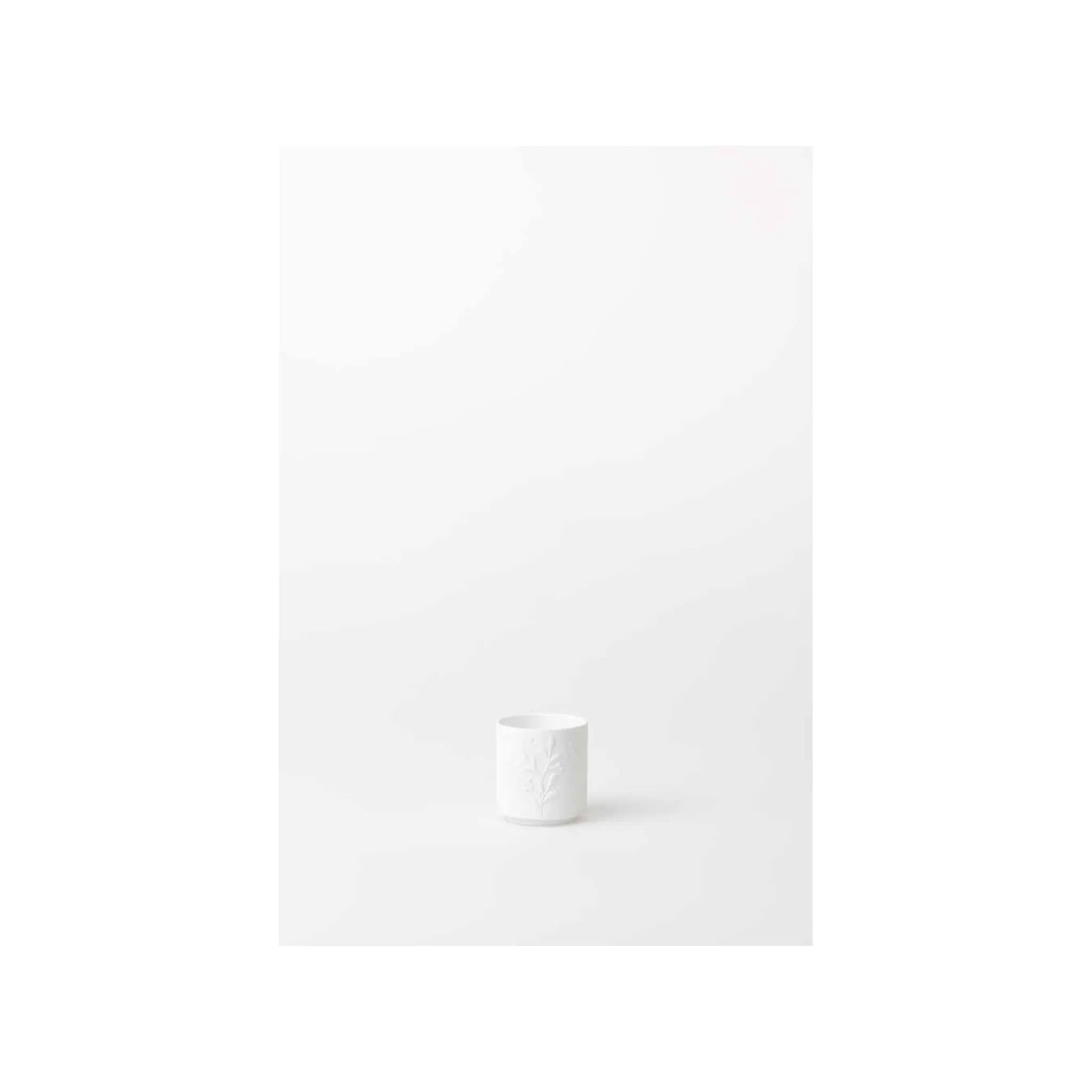 Miracle Garden Lantern Rader