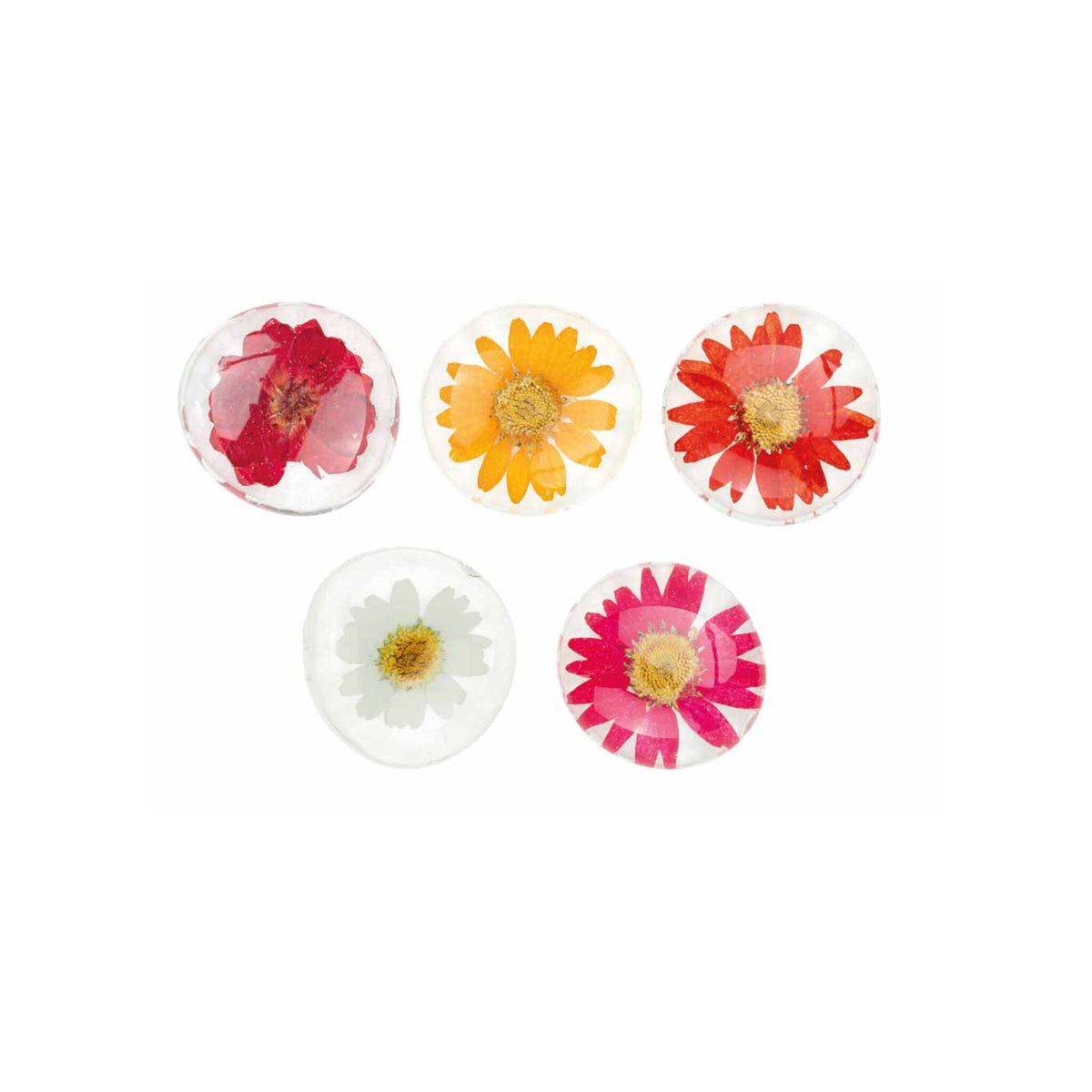 Flower Power Magnets Displaypcs Assorted
