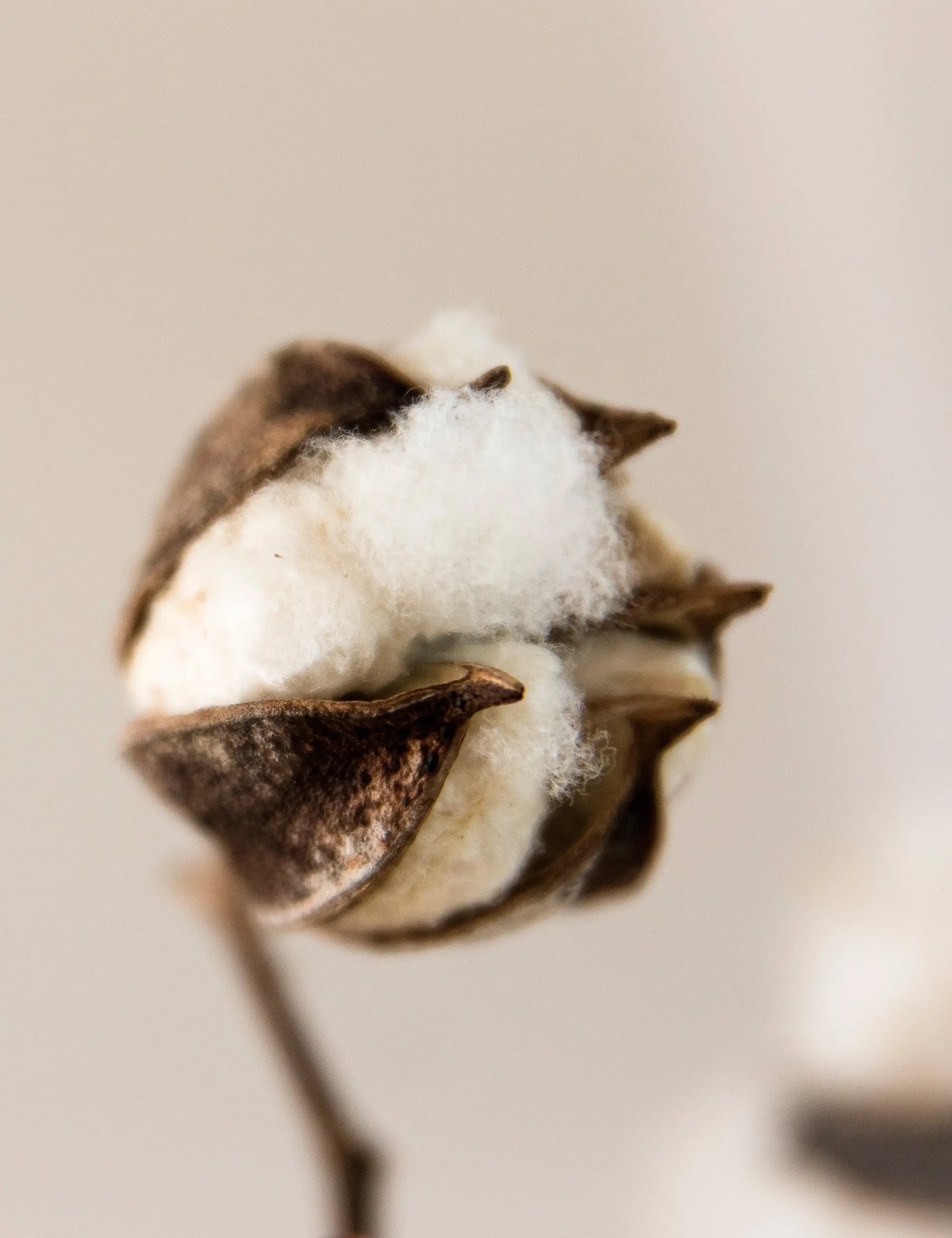 Elegance Hand Towel 50 x 70 cm Elvang