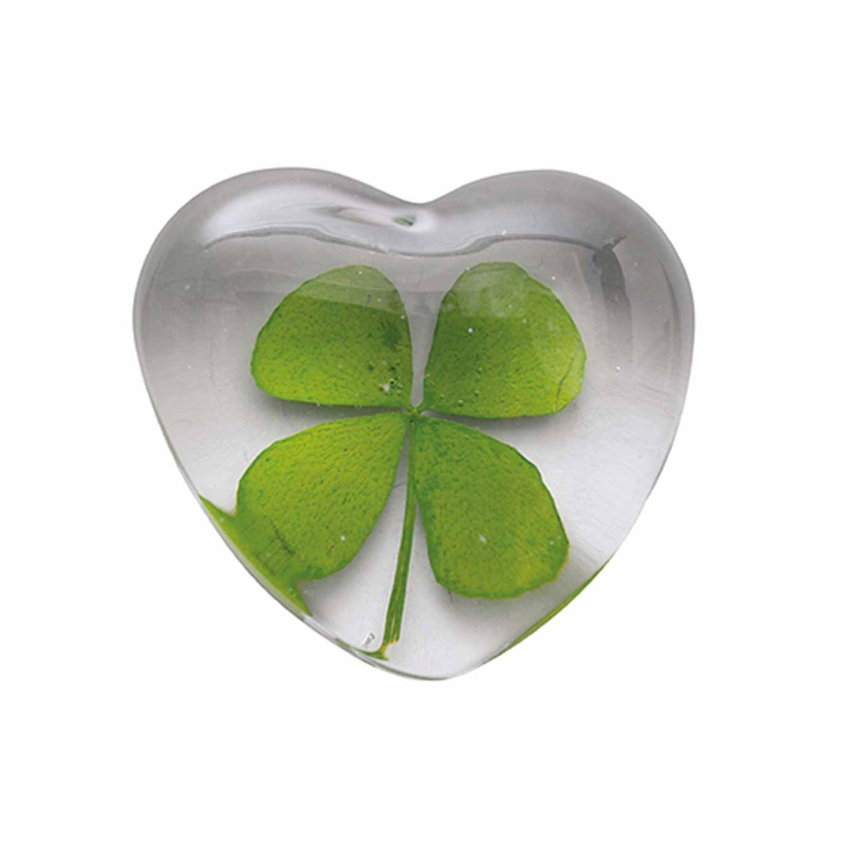 Flower Power Heats Assortment - Clover