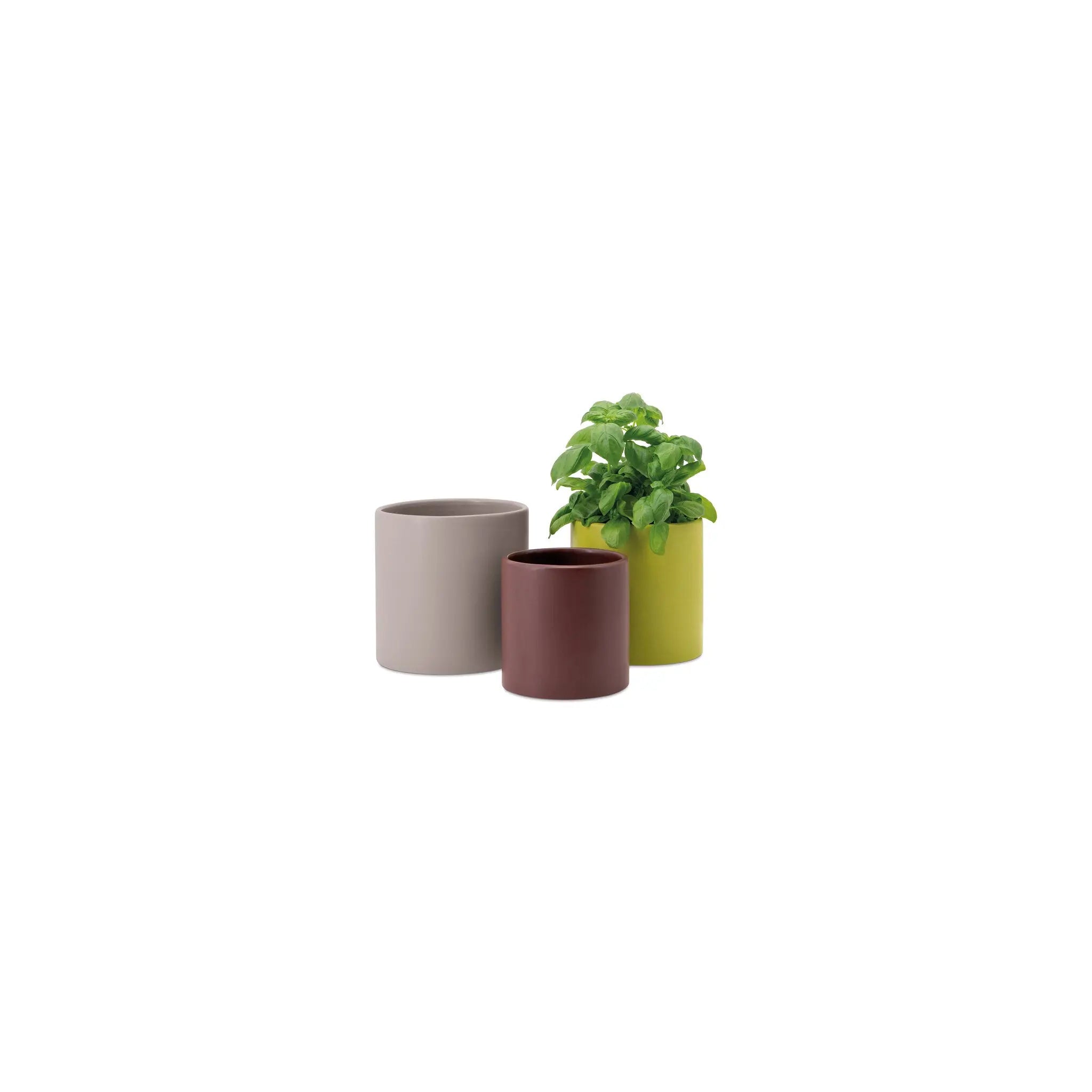 Plant pots (Set of 3) Remember