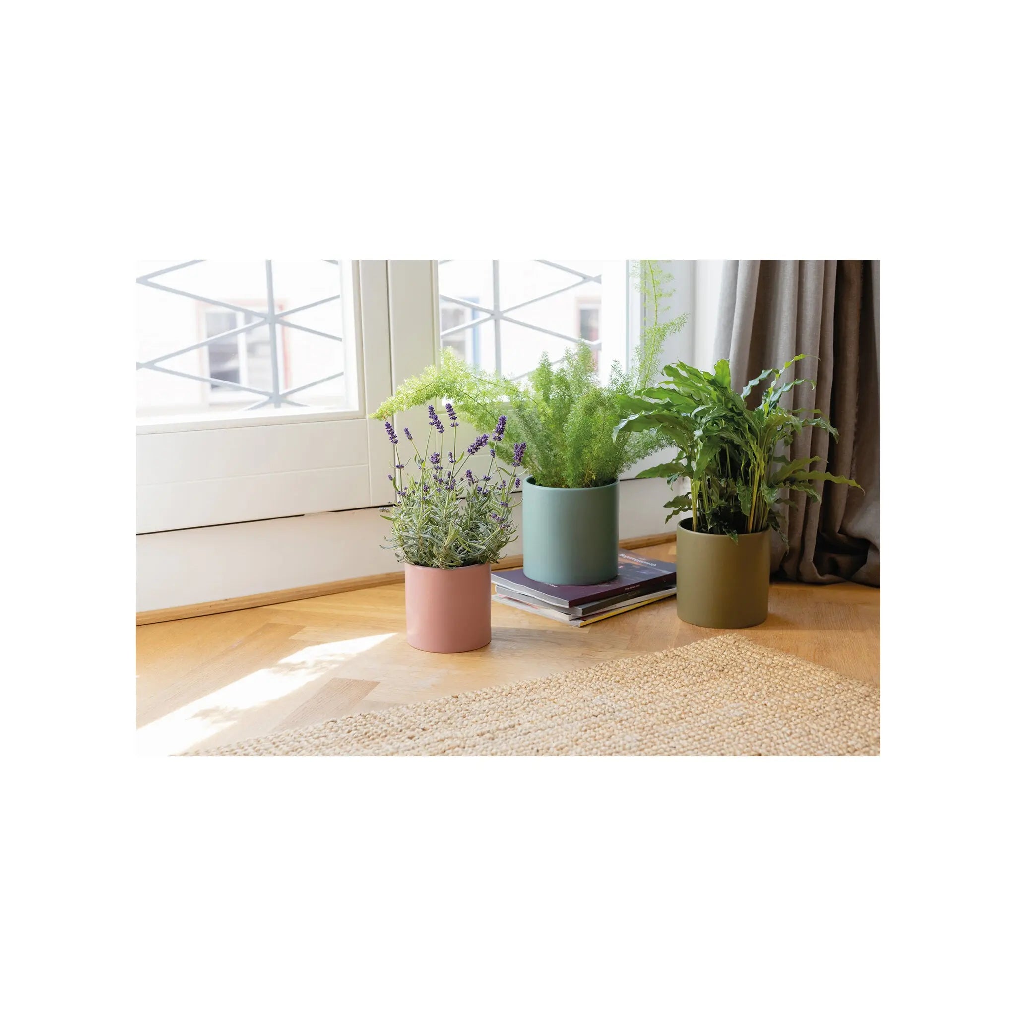 Plant pots (Set of 3) Remember