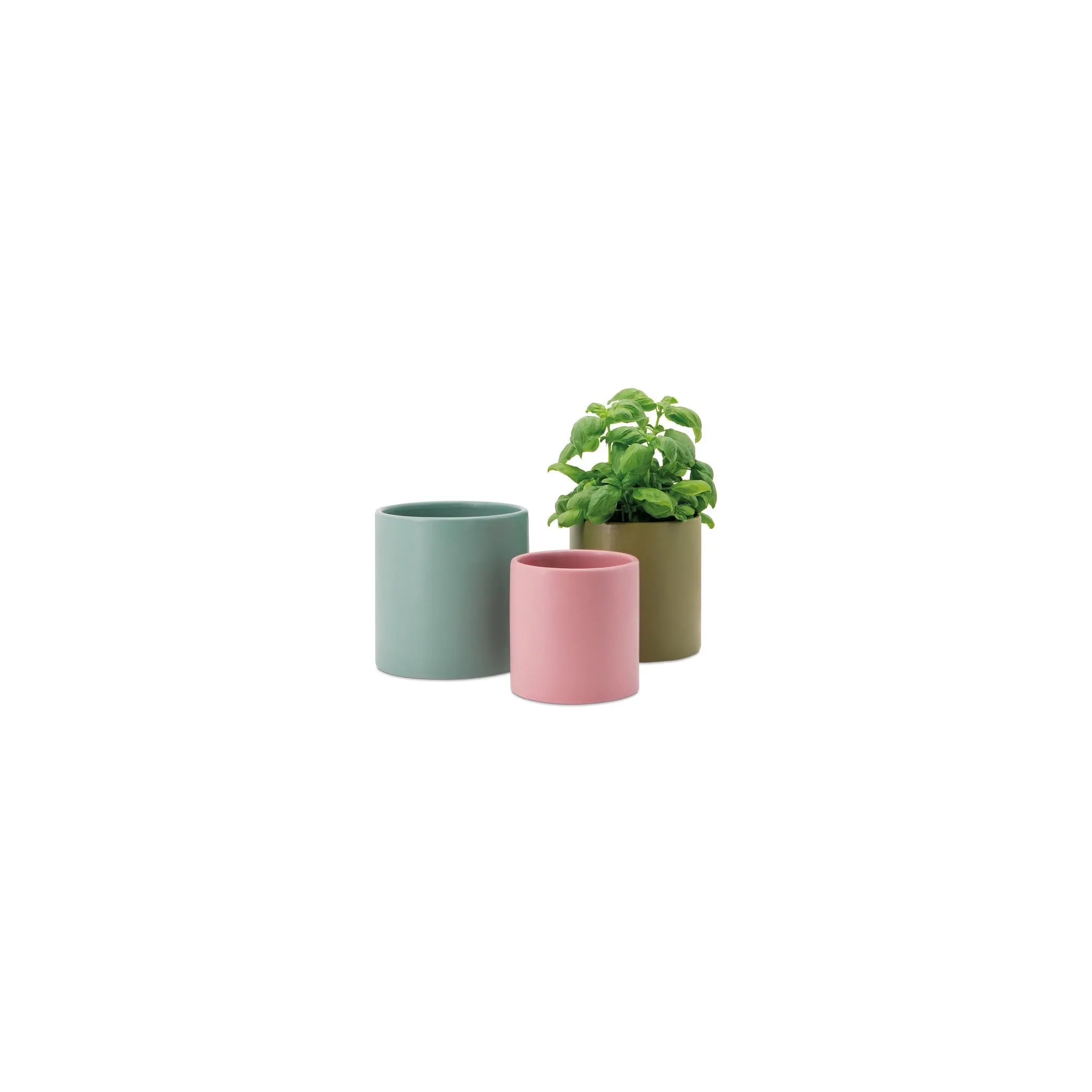 Plant pots (Set of 3) Remember