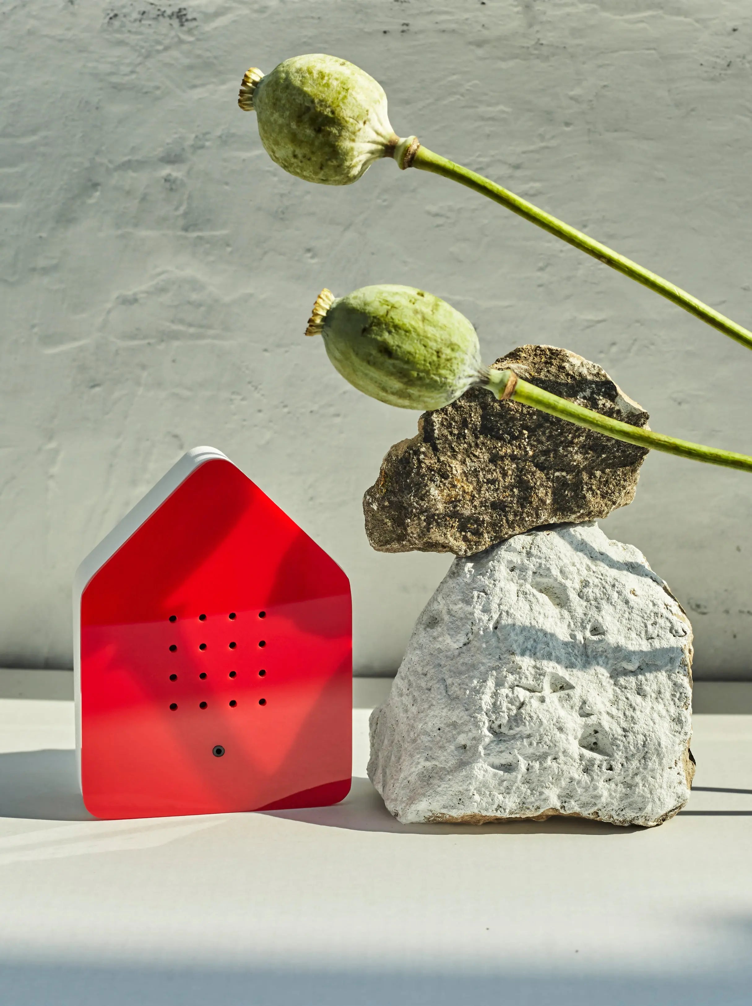 Zwitscherbox – Bird Song Sound Box | Red Relaxound