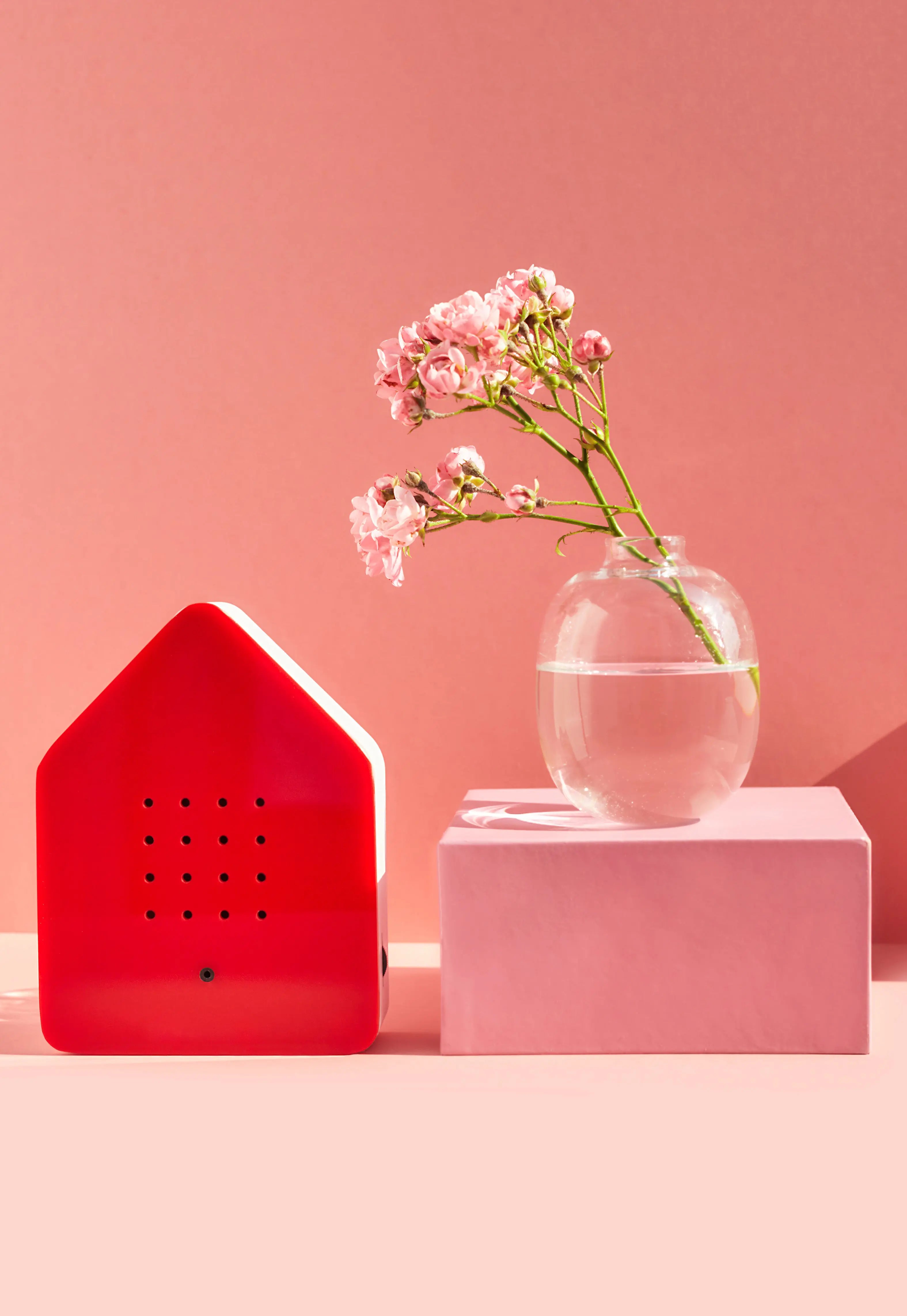 Zwitscherbox – Bird Song Sound Box | Red Relaxound